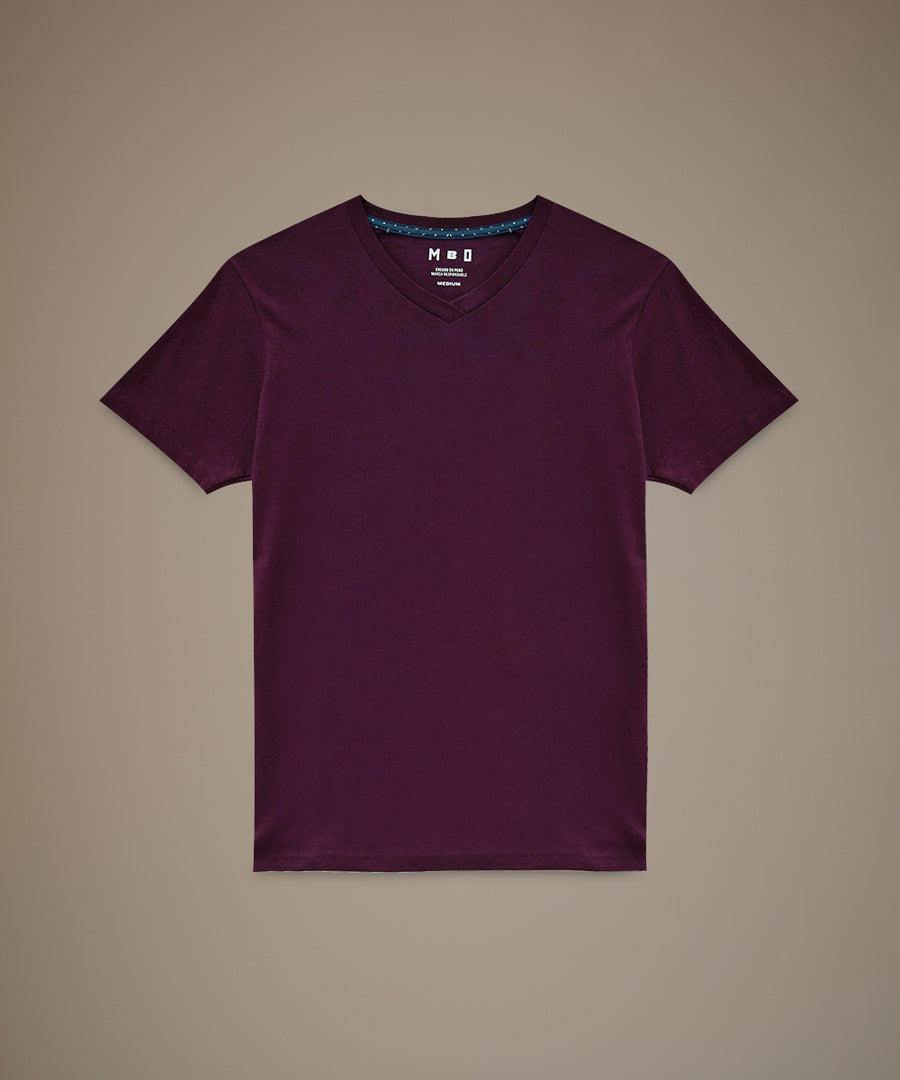 Polo Básico Cuello V