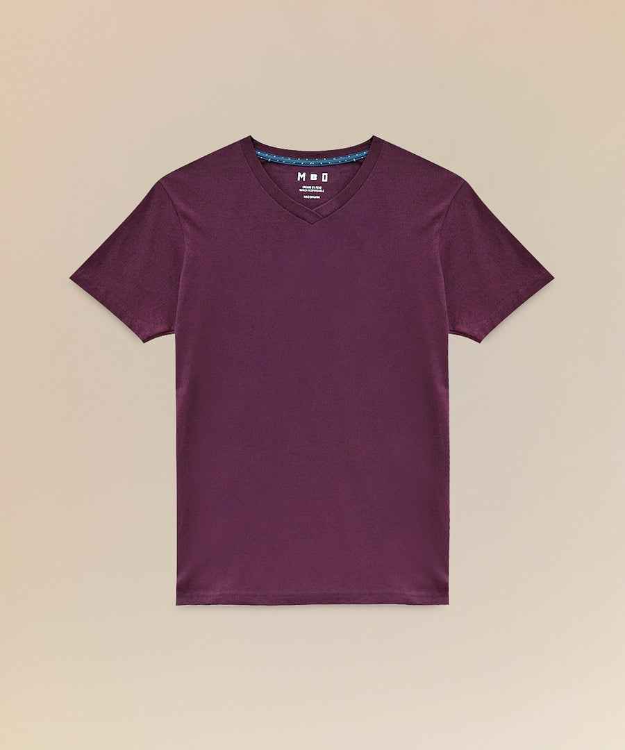 Polo Básico Cuello V