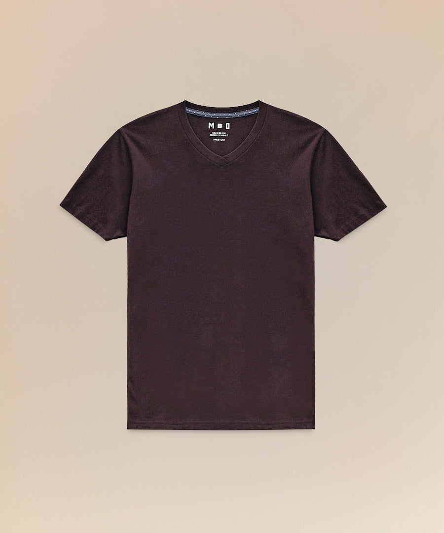 Polo Básico Cuello V