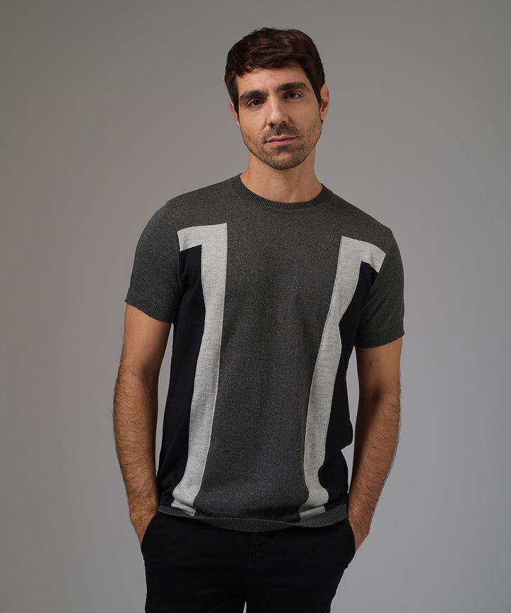 POLO MANGA CORTA PET CUELLO REDONDO CONTRASTE PLOMO PV26